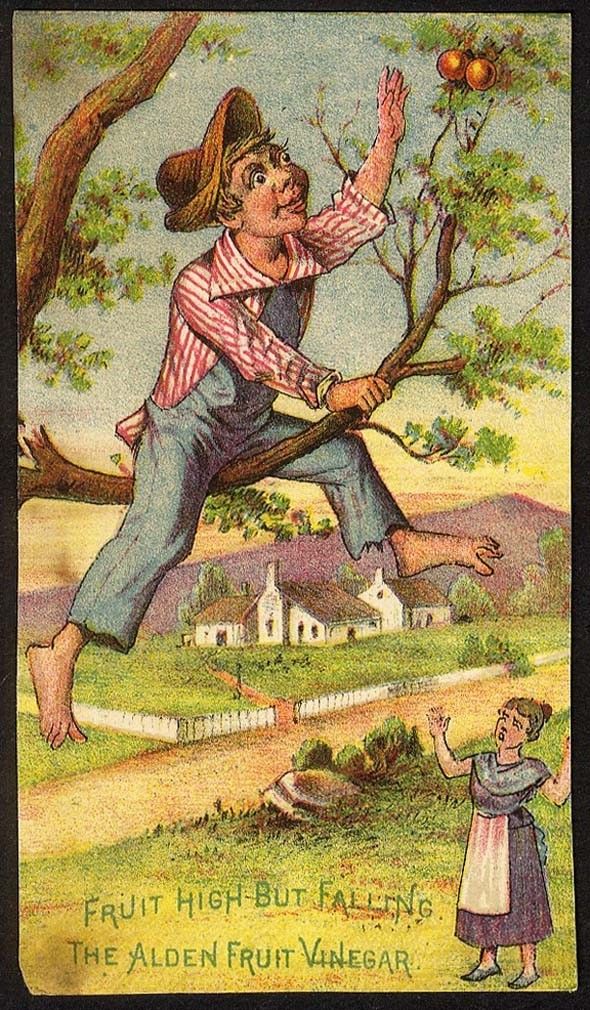 Image for Alden Fruit Vinegar - Victorian Trade Card
